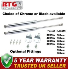 Chrome/Silver Gas Springs