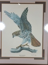 Signed Rare Red Tail Hawk Art Print Tony Biagi Framed Matted VTG Outdoors 25×20