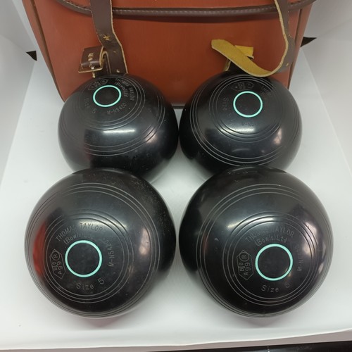 Thomas taylor lignoid size - size, 5