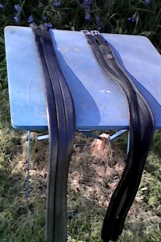 Horse saddle girths - horse, off