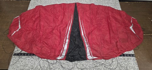 Slingshot wasp one - one, kite