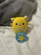 Squishmallow Micromallow