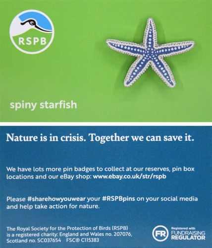 Rspb pin badge niic - badge, spiny