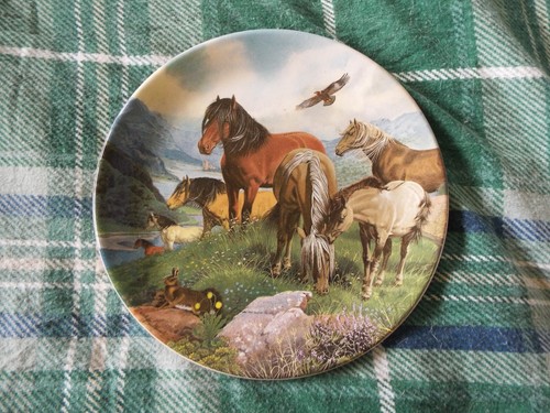 Davenport highland ponies - ,