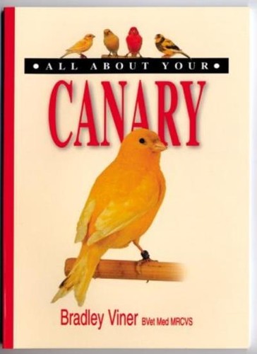 All about your - all, by
