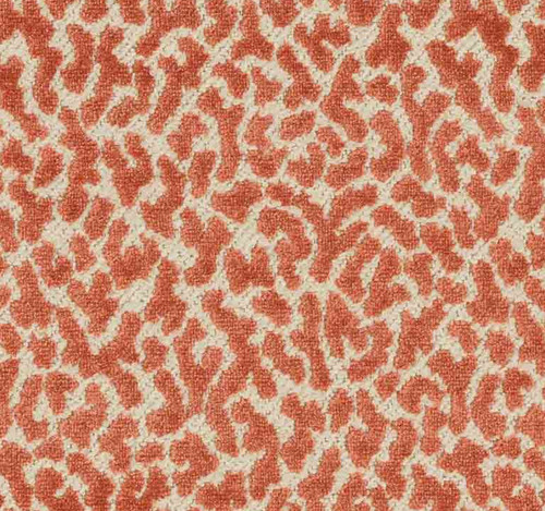 Manuel canovas cut - cut, velvet