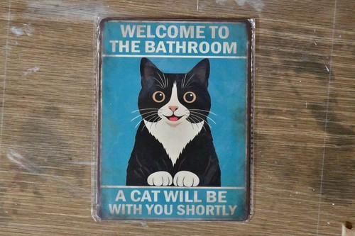 Funny cat welcome - funny,