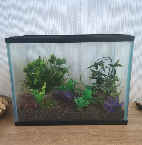 Small glass fish tank - glass,