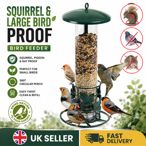 Squirrel pigeon rat proof - pigeon,