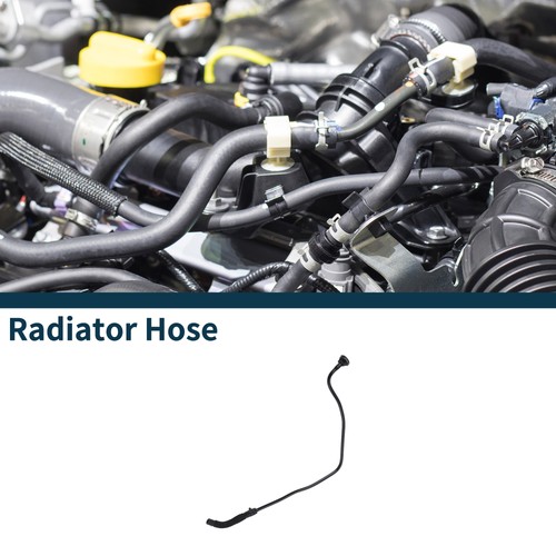 Radiator hose for - radiator,