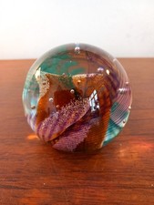 Vintage Caithness Paperweight