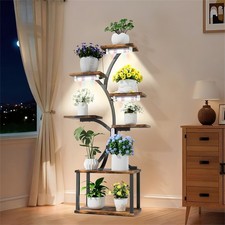 151cm tall tiered plant - tall,