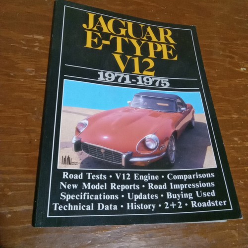 Jaguar type v12 - jaguar,