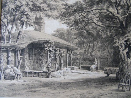 Tintern moss cottage - moss,