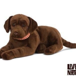 Living nature an479 chocolate - living,