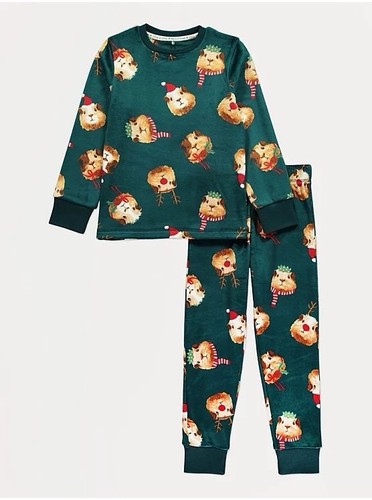 Christmas guinea pig kids - christmas,