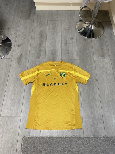 Norwich city match worn - norwich,