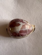 Carved Cowrie Shell Souvenir