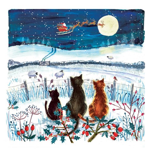 Cats watching santa rspca - watching,