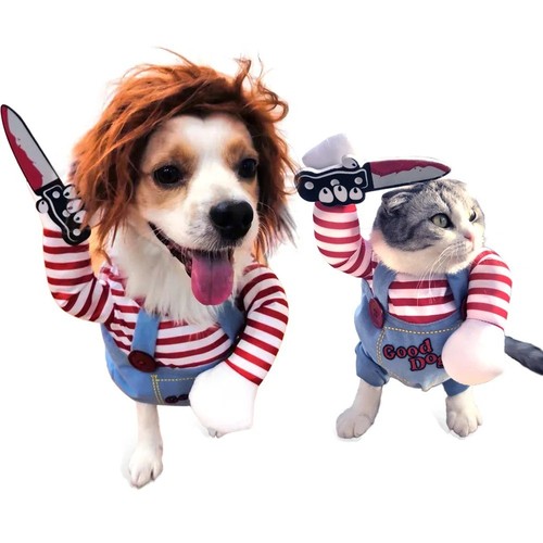Dog halloween costume - halloween,