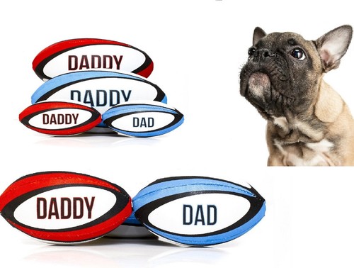 Dog toy mini rugby ball - , red