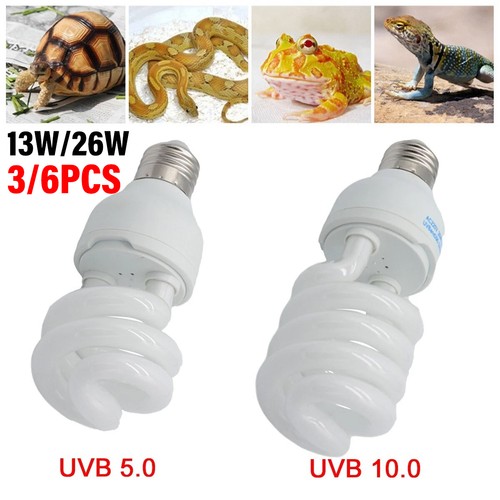 Pet screw bulb - screw, plant