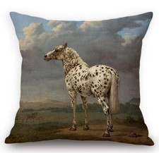 Cushion Cover Canvas Fabric