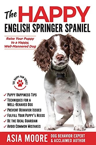 The happy english springer - english,
