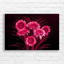 Vibrant Gerbera Daisy Pink