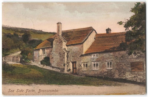 Branscombe sea side farm devon - farm,