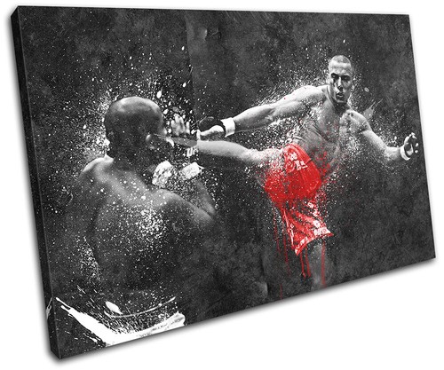 Penn ufc mma grunge - mma, sports