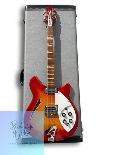 Rickenbacker 360 special - rickenbacker,