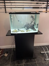 90 Litre Fish Tank With Stand, Fluval 107 Filter And Fluval Aqua sky LED Light