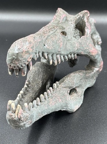 Spinosaurus dinosaur skull - spinosaurus,