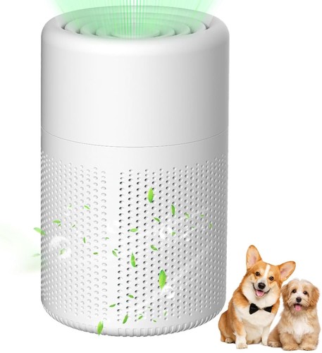 Small air purifier for - air,