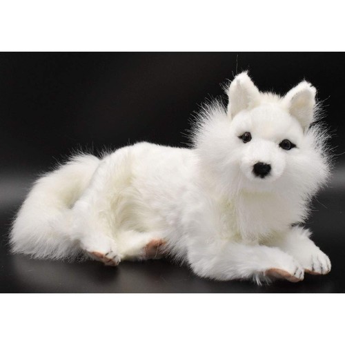 White fox bh6822 - fox, 40