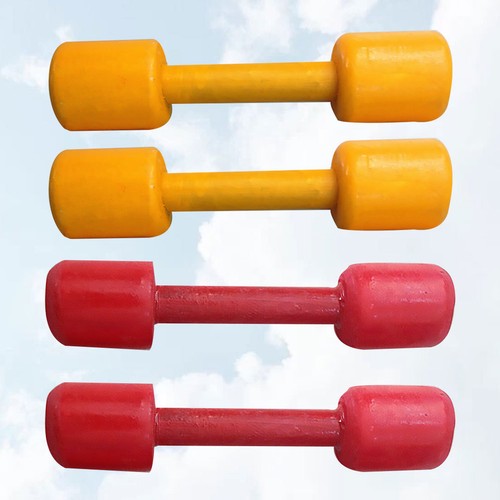 Pairs weights dumbbells - 2,