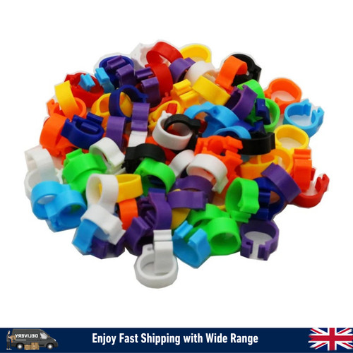 100pcs mixed colour bird rings - bird,