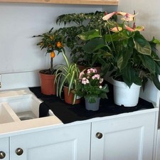 Professional Capillary Matting