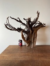 Driftwood Piece  dark tree