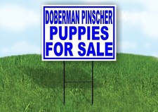 Doberman Pinscher PUPPIES FOR