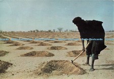 D253819 Niger Planting Shrubs to Improve the Soil Moisture Retention Oxfam Judge