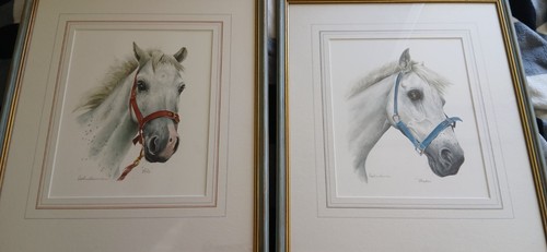 Watercolour paintings white - watercolour,