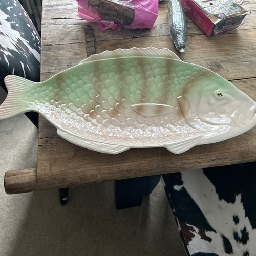 Shorter son giant fish - son,