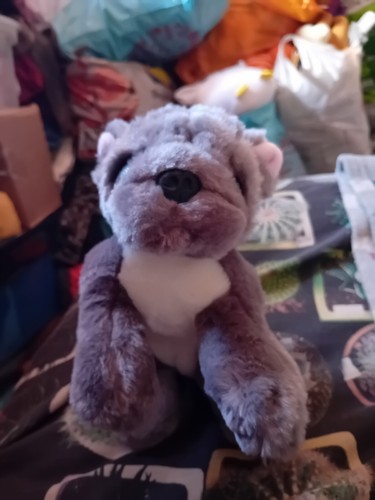Keel toys cuddle - toys, puppies