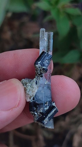 Aquamarine with black - with,