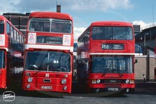 Bus Photo - East Yorkshire 954