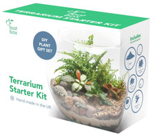Rootbox™ Terrarium Kit | Scented giftbox | Cacti Succulent | UNIQUE PRESENT