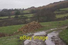 Photo 6x4 Fodder Beet pile