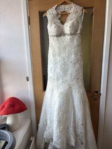 Elegant beaded lace fit - lace, &